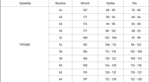 SPODNIE ROBOCZE MĘSKIE PROFESSIONAL GREY